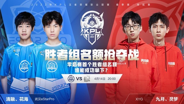 纽约洋基 纽约洋基